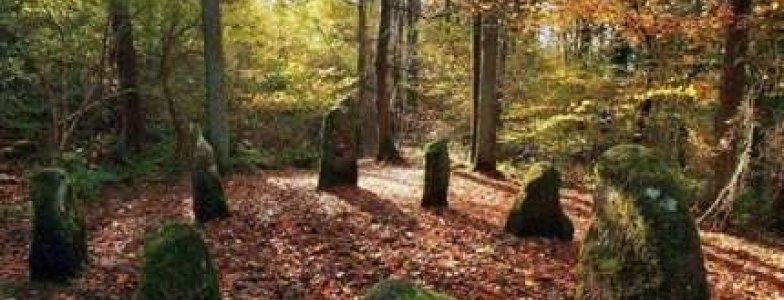 Adó 1 % felajánlása